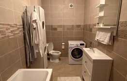 Apartament cu o camera, 38 mp, zona Iulius Mall