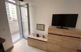 Apartament cu o camera, 38 mp, zona Iulius Mall