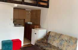 Apartamnet cu o camera, 20 mp, zona ultra centrala 