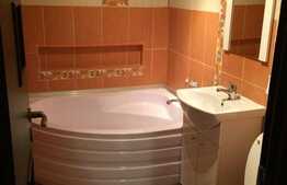 Apartament 2 camere, decomandat, 50 mp, strada Lacul Rosu 