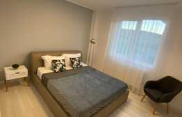 Apartament 2 camere, mobilat, utilat de lux, bloc cu lift, zona Terra