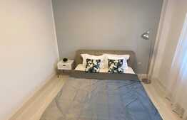 Apartament 2 camere, mobilat, utilat de lux, bloc cu lift, zona Terra