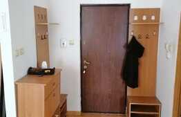 Apartament cu 2 camere, 50 mp, pet friendly, zona Calea Baciului