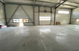 Hala renovata complet cu teren generos