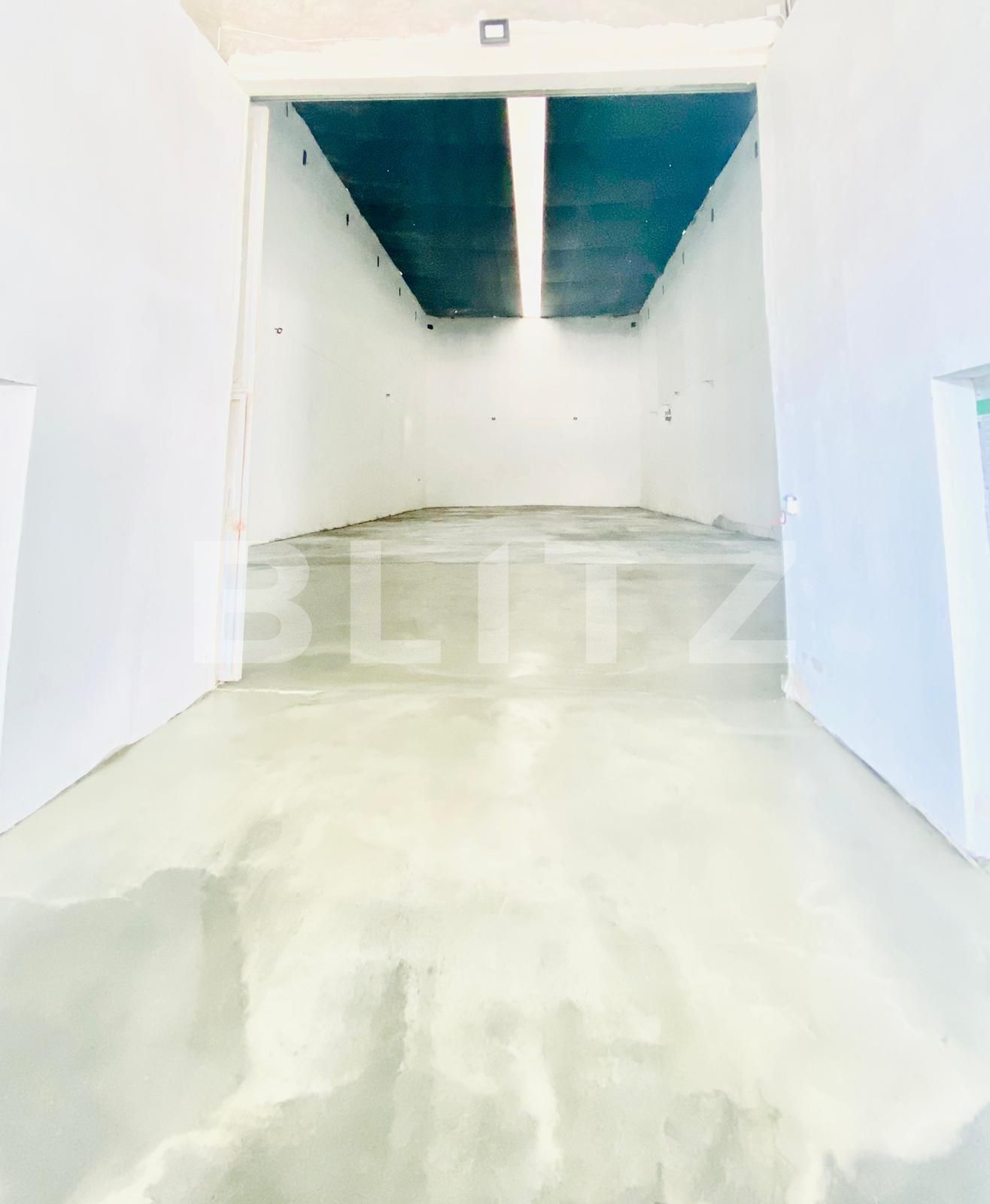 Spațiu industrial de vânzare Baciu - 52509SVI | BLITZ Cluj-Napoca | Poza2