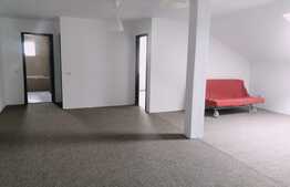 OPORTUNITATE! 80mp+ pod 40 mp, zona Porii