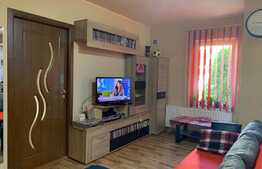 Apartament pretabil pentru spatiu comercial, 3 camere, zona Terra!