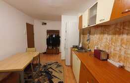 Apartament cu o camera, 40 mp, zona Kaufland, Marasti