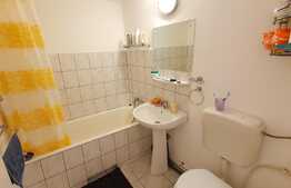 Apartament cu o camera, 40 mp, zona Kaufland, Marasti