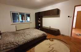 Apartament cu o camera, 40 mp, zona Kaufland, Marasti