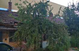 Apartamente in centru demolabile la pret oportun!