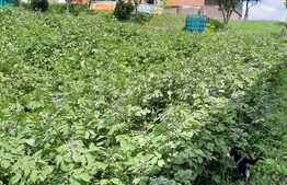 Casa si teren 3450mp ,complet independenta energetic si panorama superba asupra orasului