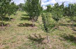 Casa si teren 3450mp ,complet independenta energetic si panorama superba asupra orasului