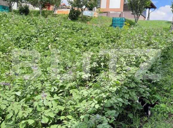 Casa de vânzare 3 camere Dambul Rotund - 52530CV | BLITZ Cluj-Napoca | Poza5