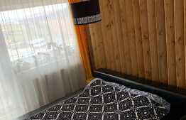 Apartament cochet, mobilat si utilat modern! Potrivit pentru familia ta!