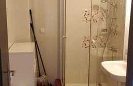 Apartament cu 2 camere, 40 mp, pet friendly, zona strazii Dunarii