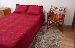Apartament cu 2 camere, 40 mp, pet friendly, zona strazii Dunarii