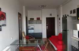 Apartament cu 2 camere, 40 mp, pet friendly, zona strazii Dunarii