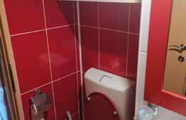 Apartament 2 camere, 52mp, renovat, zona Big Manastur