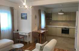 Apartament 2 camere, 55 mp, zona Terra Gardens