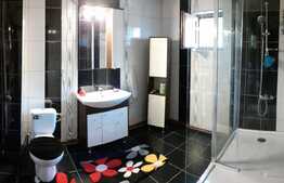 Casa individuala de 120 mp utili cu 325 mp de teren