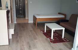 Garsoniera decomandata, 30 mp, recent renovata, zona Detunata