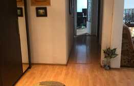 Apartament 3 camere, zona strazii Mehedinti 