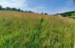 Teren  intravilan 1600mp, Feleacu