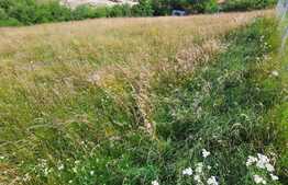 Teren  intravilan 1600mp, Feleacu