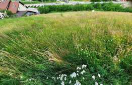 Teren  intravilan 1600mp, Feleacu