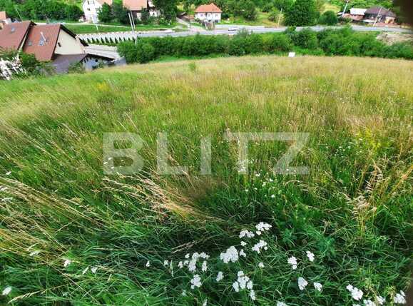 Teren de vânzare Feleacu - 52590TV | BLITZ Cluj-Napoca | Poza3