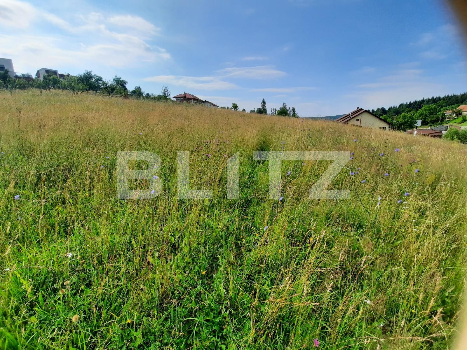 Teren de vânzare Feleacu - 52590TV | BLITZ Cluj-Napoca | Poza4