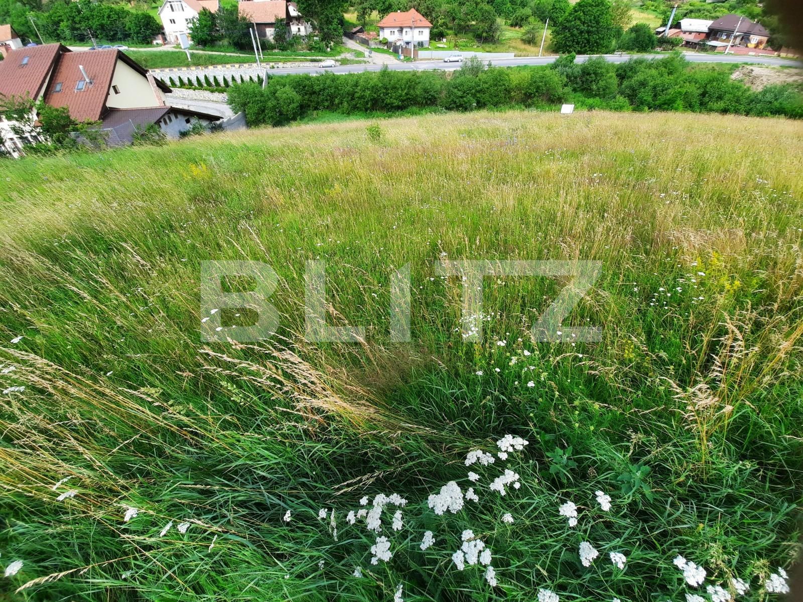 Teren de vânzare Feleacu - 52590TV | BLITZ Cluj-Napoca | Poza3