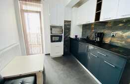 Apartament cu 2 camere, 35 mp, modern, zona strazii Valea Garbaului