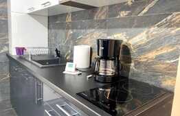 Apartament cu 2 camere, 35 mp, modern, zona strazii Valea Garbaului