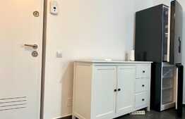 Apartament cu 2 camere, 35 mp, modern, zona strazii Valea Garbaului