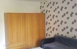 Apartament cu o camera, 33 mp, zona strazii Parang