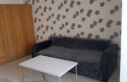 Apartament cu o camera, 33 mp, zona strazii Parang