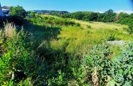 Teren cu autorizatie de constructie,in Faget.