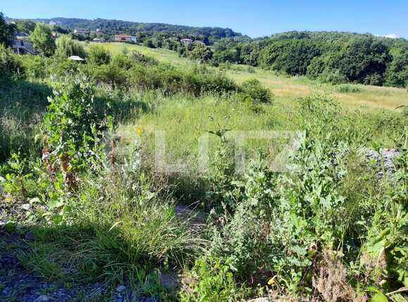 Teren de vânzare Făget - 52603TV | BLITZ Cluj-Napoca | Poza1