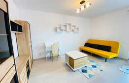 Apartament cu o camera, 40 mp, mobilat modern, prima inchiriere, parcare, zona strazii Oasului