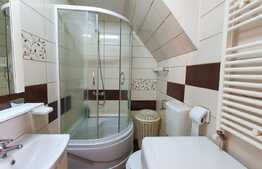 Apartament cu o camera, 30 mp, in zona centrala