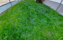 Apartament semifinisat, 2 camere, gradina, zona strazii Dumitru Mocanu!