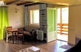 Scadere de pret! Casa individuala 110 mp utili, 800 teren, Exterior Vest