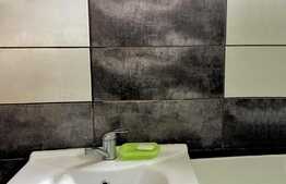 Scadere de pret! Casa individuala 110 mp utili, 800 teren, Exterior Vest