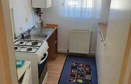 Apartament 1 camera, 45 mp, zona strazii Frunzisului