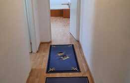 Apartament 1 camera, 45 mp, zona strazii Frunzisului