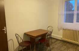 Garsoniera decomandata, centrala termica proprie, 27 mp, zona Minerva