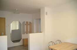 Apartament 2 camere, decomandat, 56 mp, zona Piata Marasti