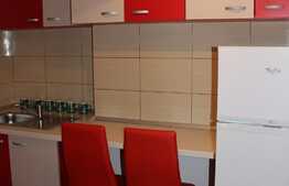 Apartament cu 1 camera, 40 mp , modern, zona strazii Tedor Mihali